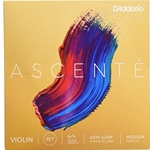 Ascente Violin String Set - Synthetic Core