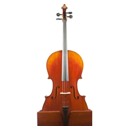 Performer Series 102 Cello 1/2 - Outfit