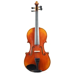 16" Rosalia Viola Outfit - Dart Woodshell case - Composite Bow