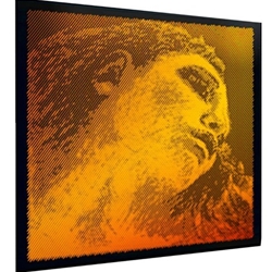 Evah Gold Violin G String - Gold